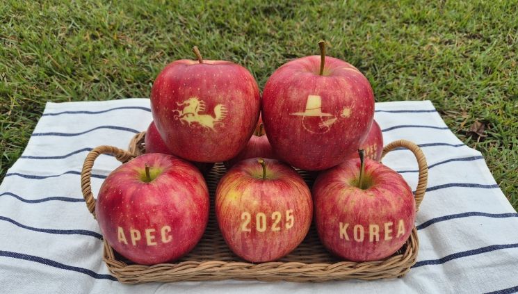 경상북도농업기술원 문자사과